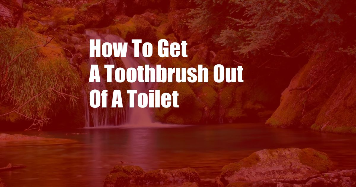 How To Get A Toothbrush Out Of A Toilet