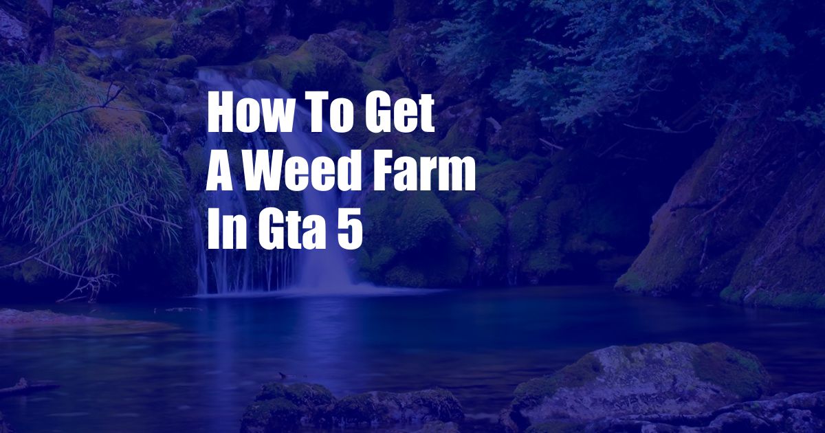 How To Get A Weed Farm In Gta 5