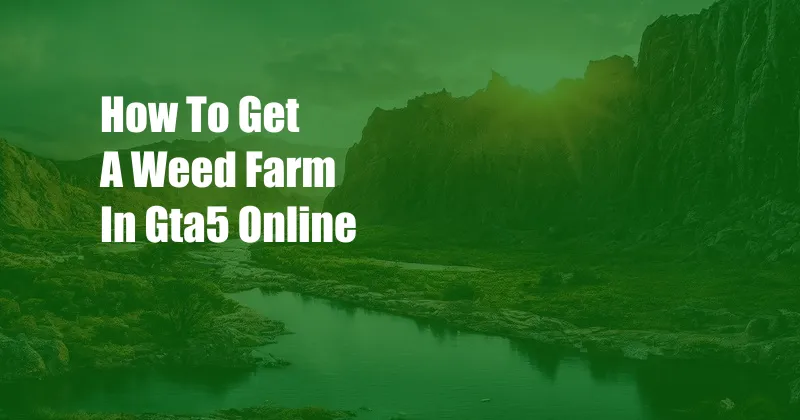 How To Get A Weed Farm In Gta5 Online