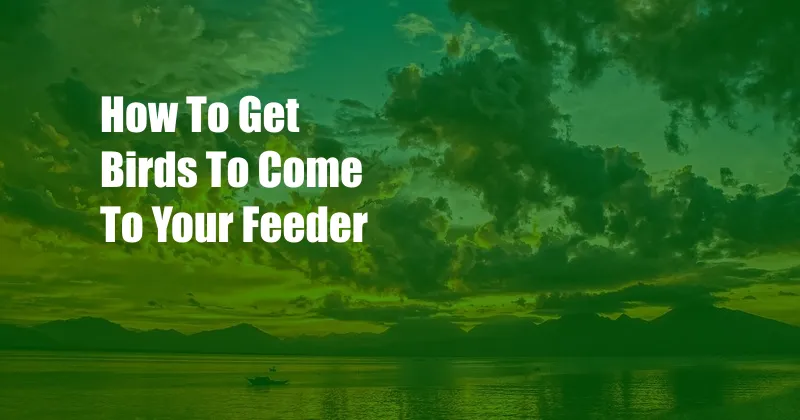 How To Get Birds To Come To Your Feeder