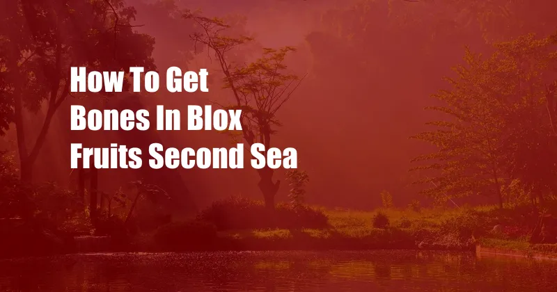 How To Get Bones In Blox Fruits Second Sea