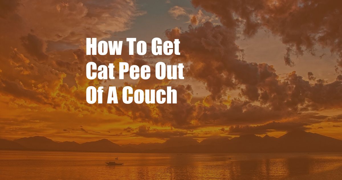 How To Get Cat Pee Out Of A Couch
