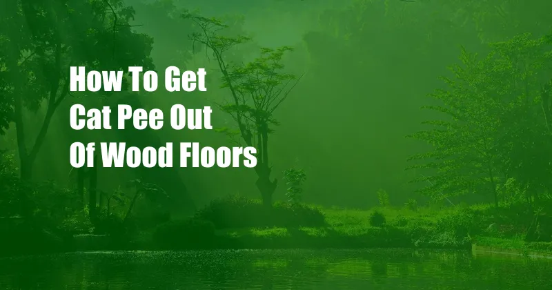 How To Get Cat Pee Out Of Wood Floors