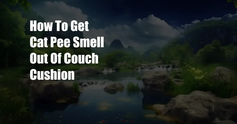 How To Get Cat Pee Smell Out Of Couch Cushion