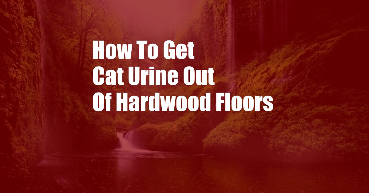 How To Get Cat Urine Out Of Hardwood Floors
