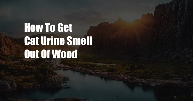 How To Get Cat Urine Smell Out Of Wood