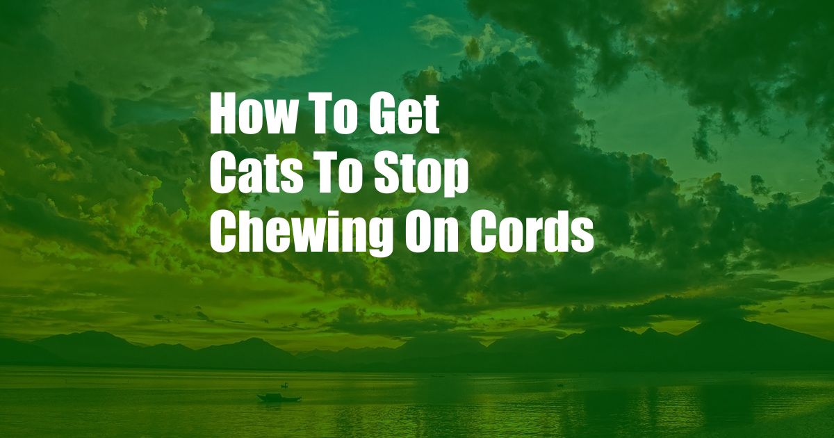 How To Get Cats To Stop Chewing On Cords