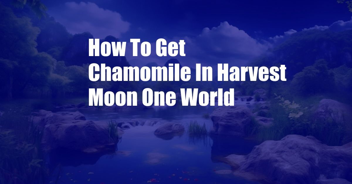 How To Get Chamomile In Harvest Moon One World