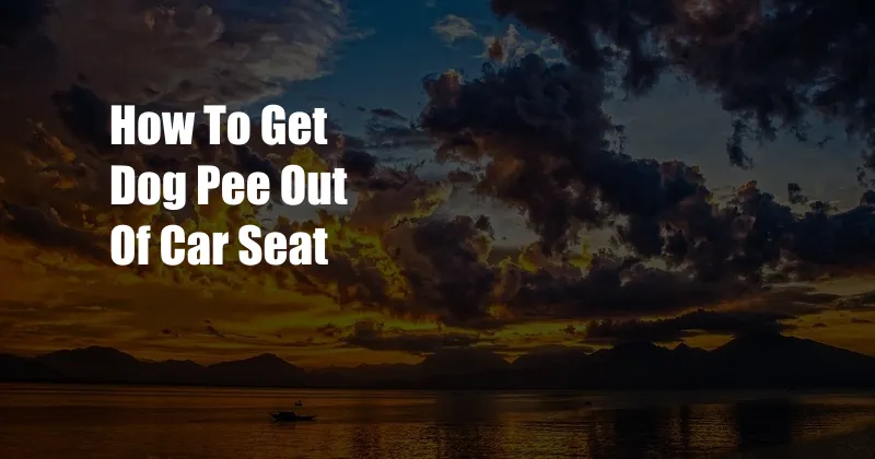 How To Get Dog Pee Out Of Car Seat