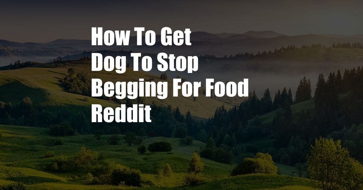 How To Get Dog To Stop Begging For Food Reddit