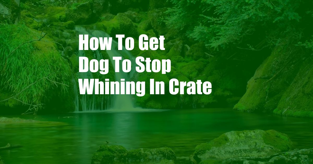 How To Get Dog To Stop Whining In Crate