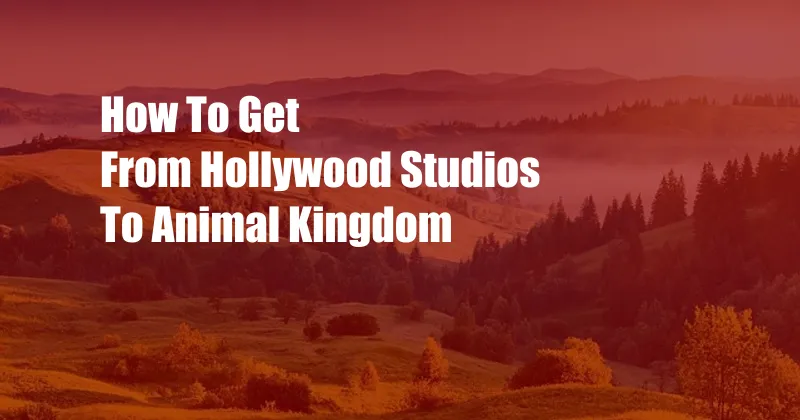 How To Get From Hollywood Studios To Animal Kingdom