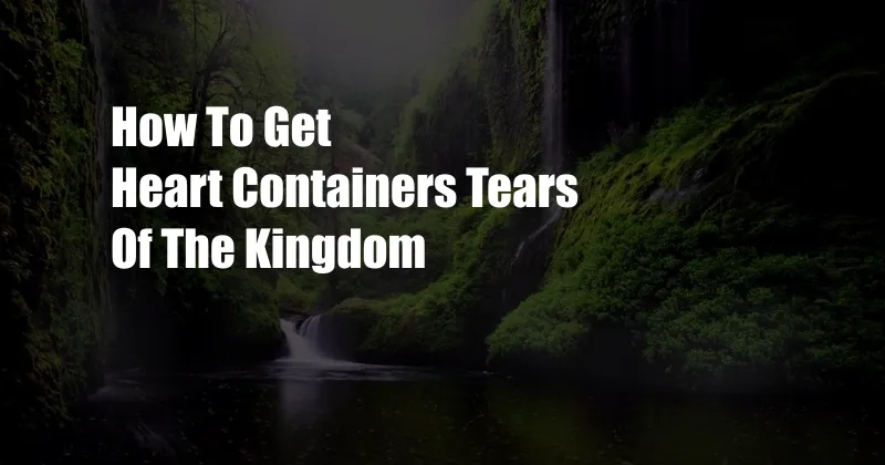 How To Get Heart Containers Tears Of The Kingdom