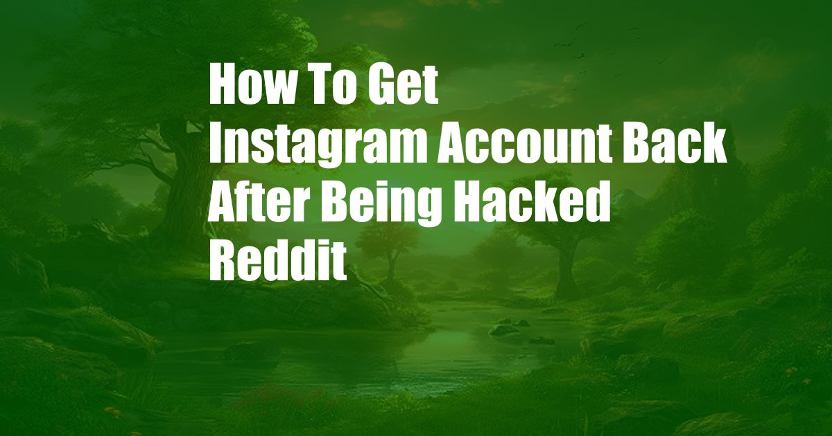 How To Get Instagram Account Back After Being Hacked Reddit