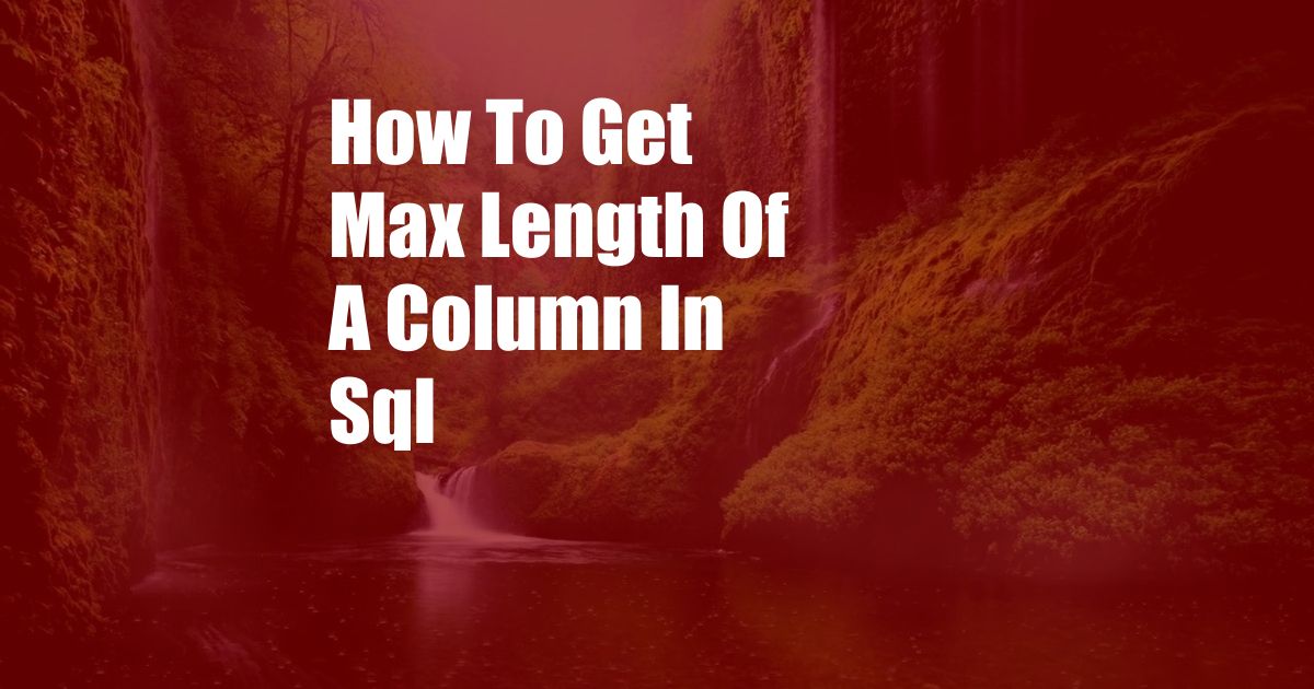 How To Get Max Length Of A Column In Sql