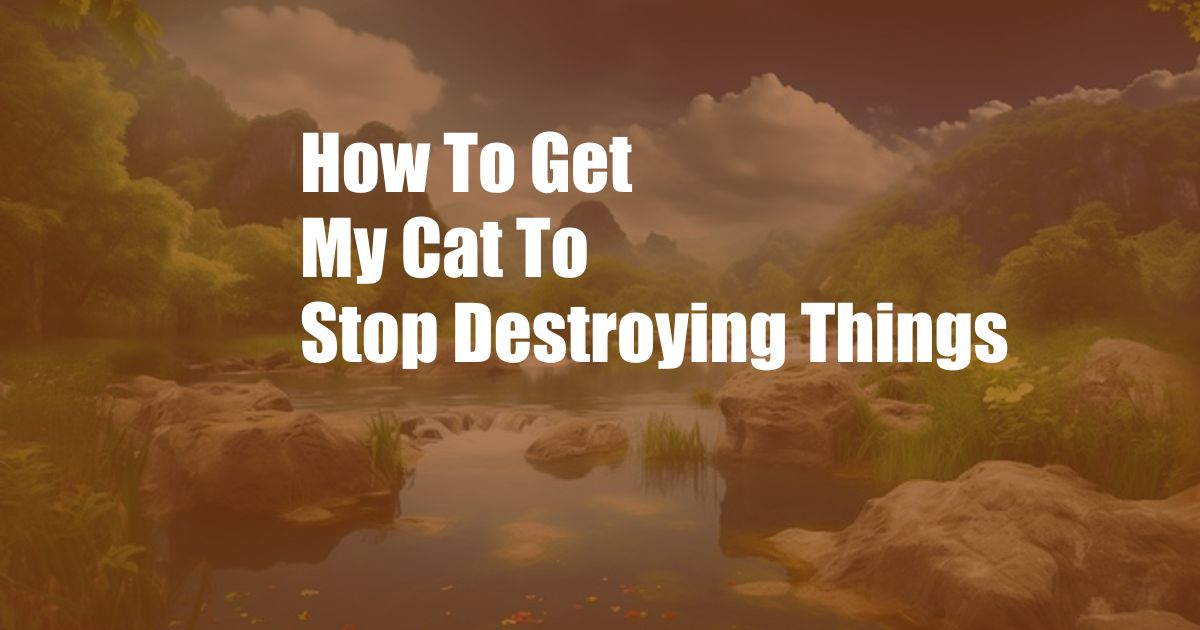 How To Get My Cat To Stop Destroying Things