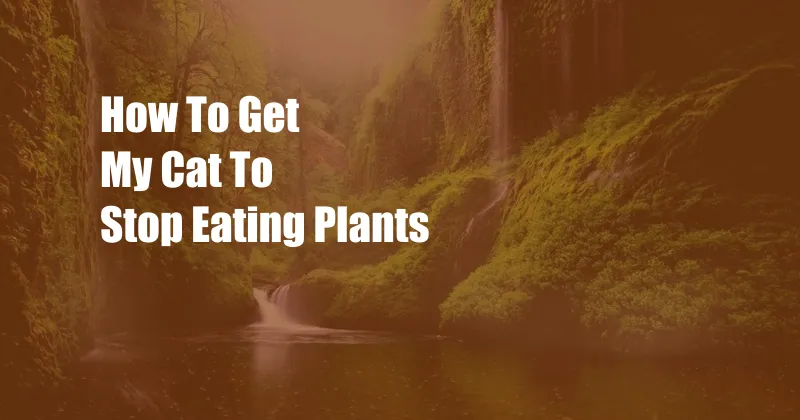 How To Get My Cat To Stop Eating Plants