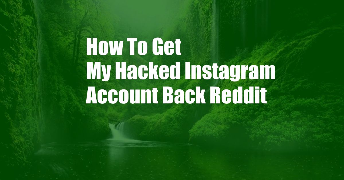 How To Get My Hacked Instagram Account Back Reddit