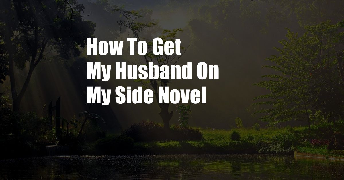 How To Get My Husband On My Side Novel