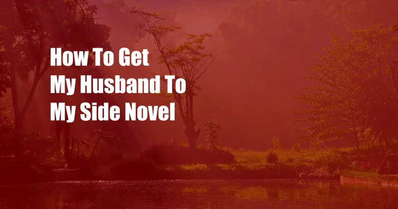 How To Get My Husband To My Side Novel