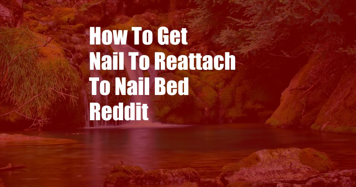 How To Get Nail To Reattach To Nail Bed Reddit