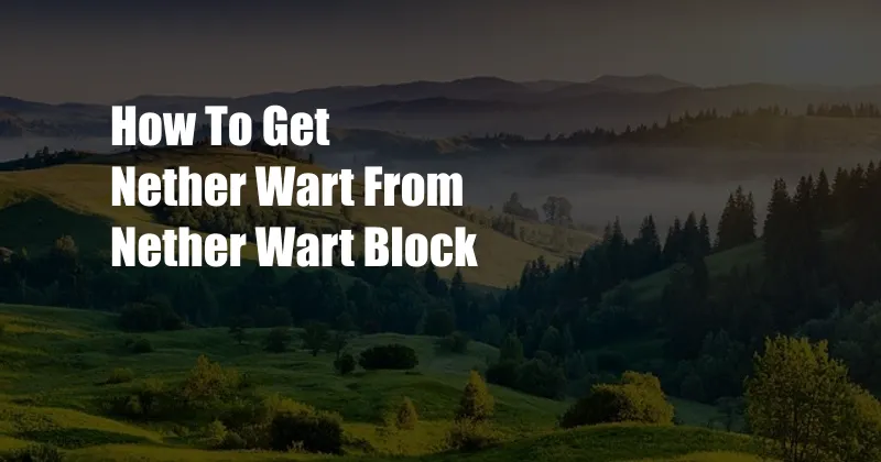 How To Get Nether Wart From Nether Wart Block