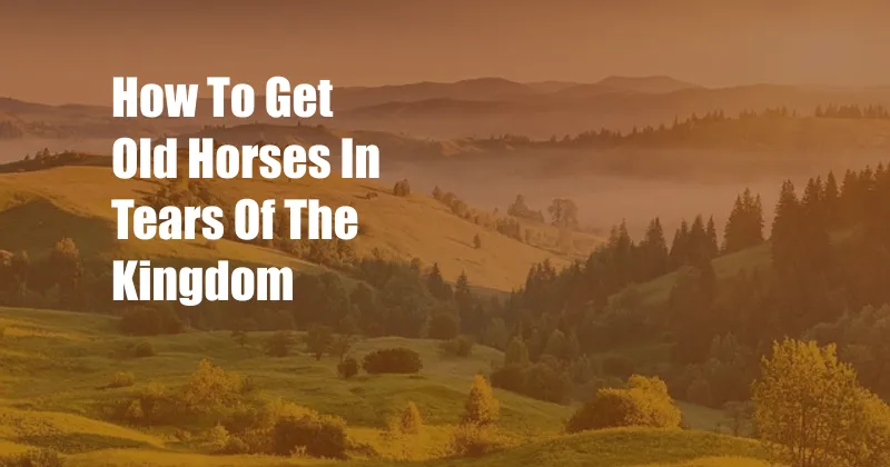 How To Get Old Horses In Tears Of The Kingdom