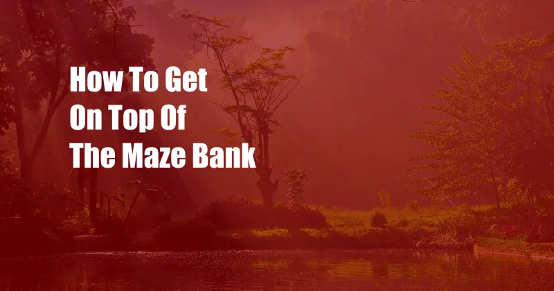 How To Get On Top Of The Maze Bank