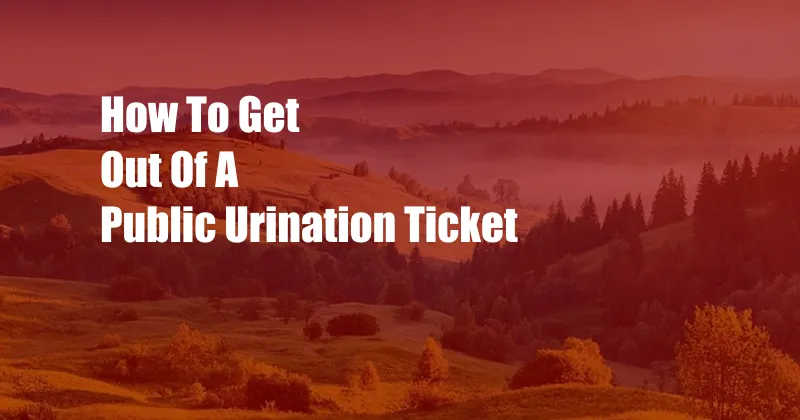 How To Get Out Of A Public Urination Ticket