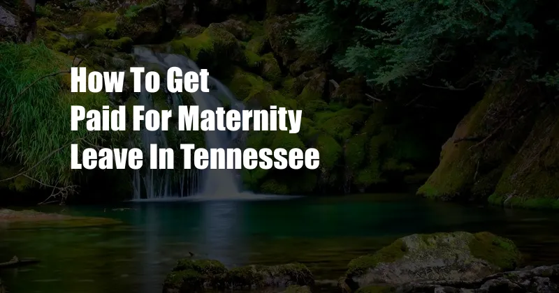 How To Get Paid For Maternity Leave In Tennessee