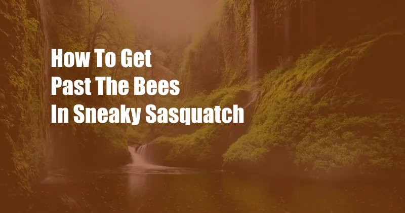 How To Get Past The Bees In Sneaky Sasquatch