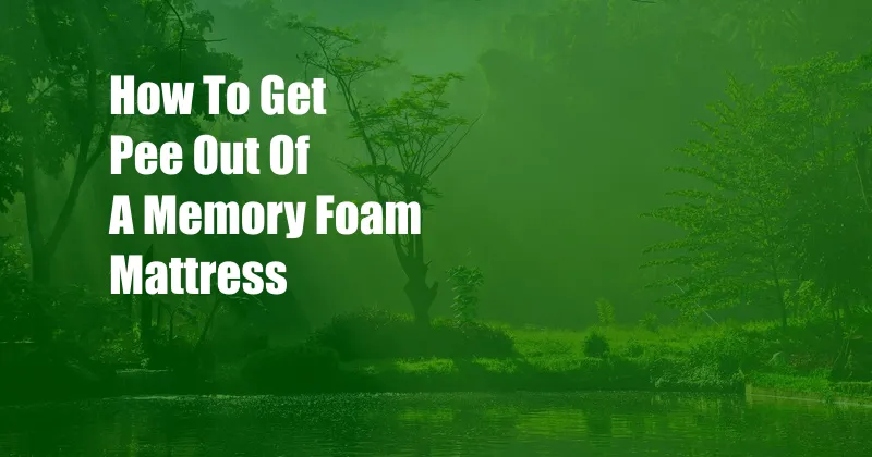 How To Get Pee Out Of A Memory Foam Mattress