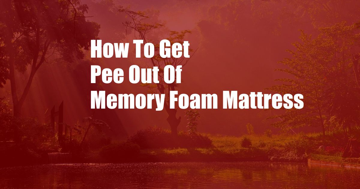 How To Get Pee Out Of Memory Foam Mattress