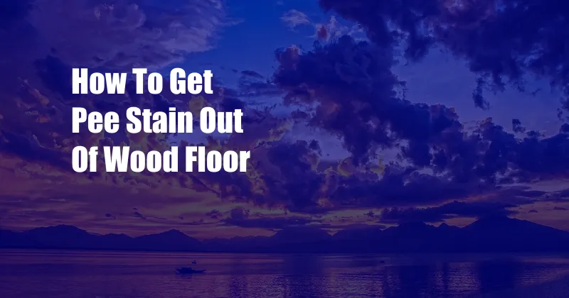 How To Get Pee Stain Out Of Wood Floor