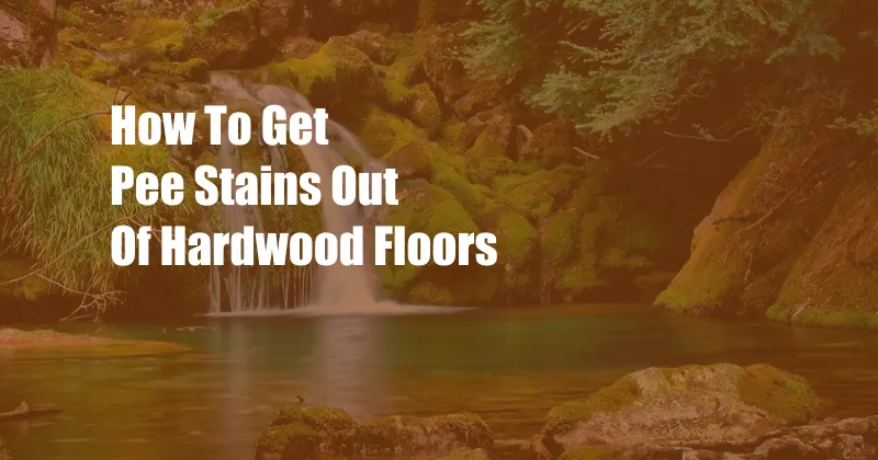 How To Get Pee Stains Out Of Hardwood Floors