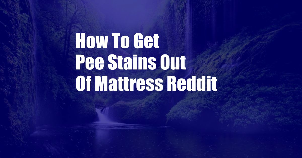 How To Get Pee Stains Out Of Mattress Reddit