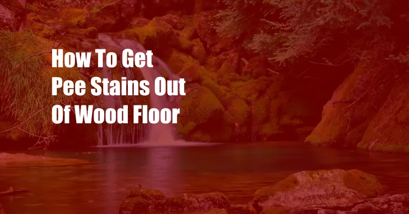 How To Get Pee Stains Out Of Wood Floor