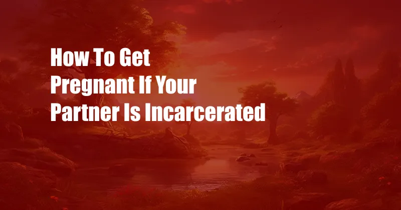 How To Get Pregnant If Your Partner Is Incarcerated