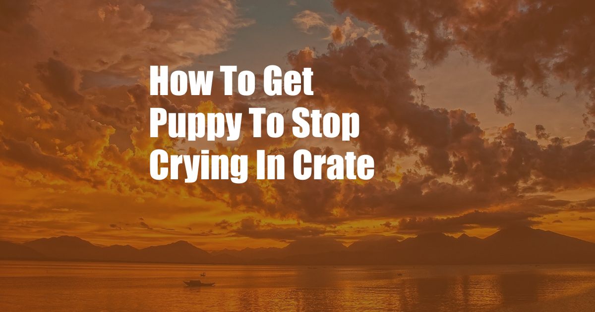 How To Get Puppy To Stop Crying In Crate