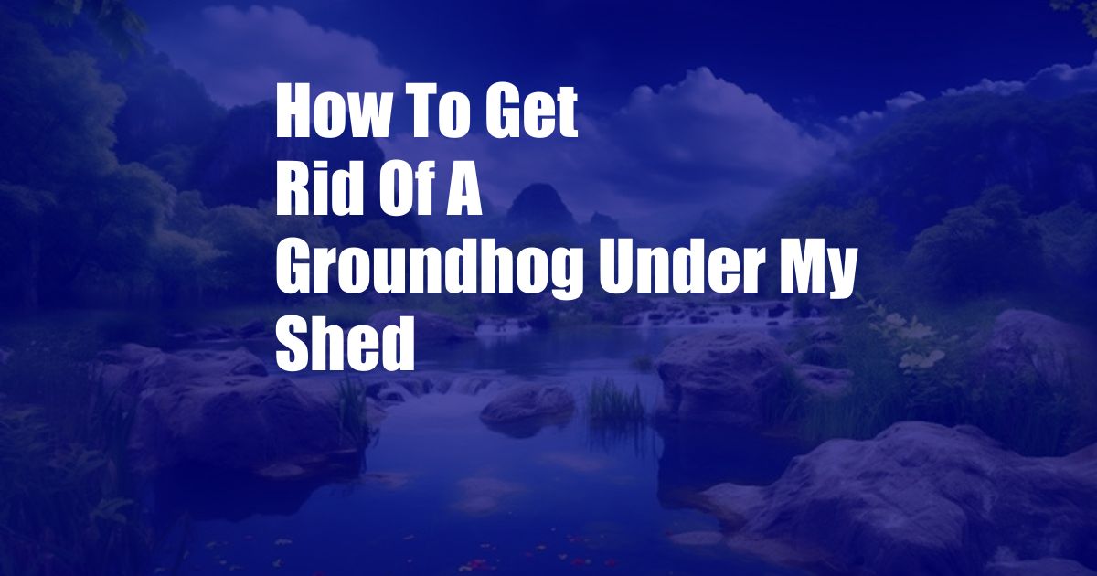 How To Get Rid Of A Groundhog Under My Shed