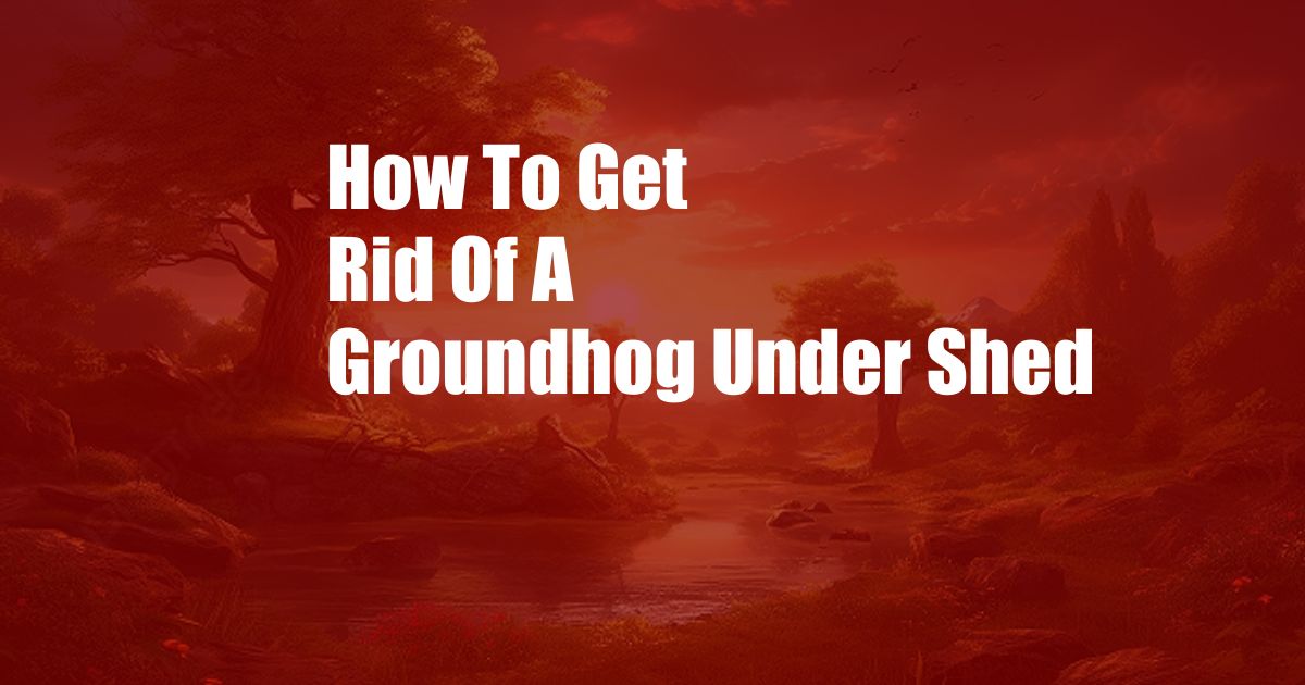 How To Get Rid Of A Groundhog Under Shed