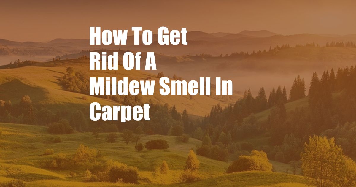 How To Get Rid Of A Mildew Smell In Carpet