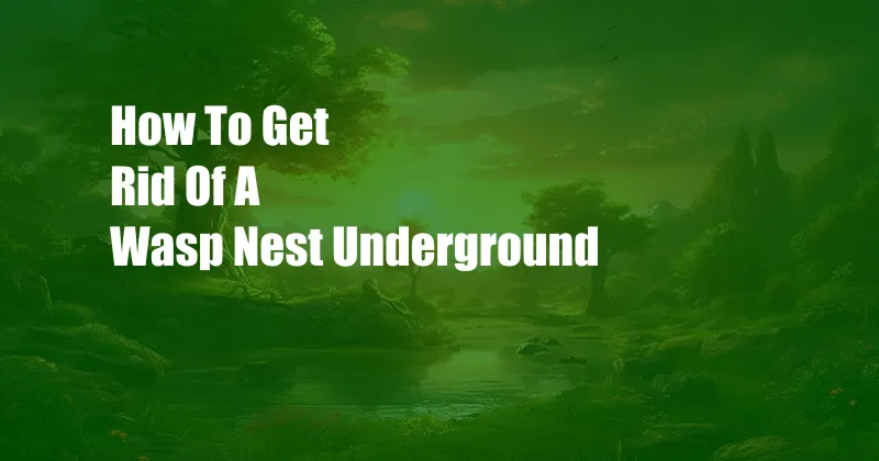 How To Get Rid Of A Wasp Nest Underground