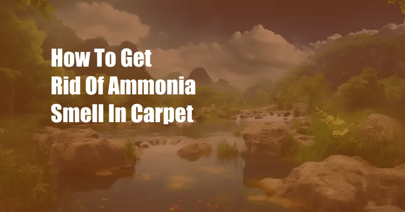 How To Get Rid Of Ammonia Smell In Carpet