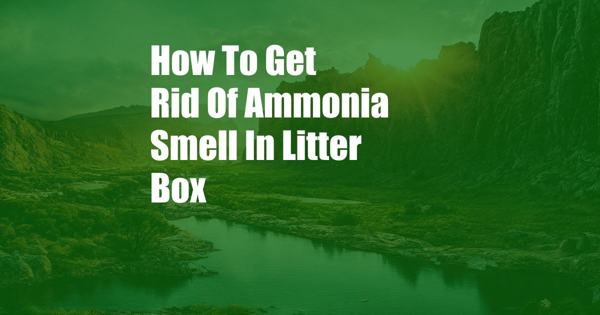 How To Get Rid Of Ammonia Smell In Litter Box