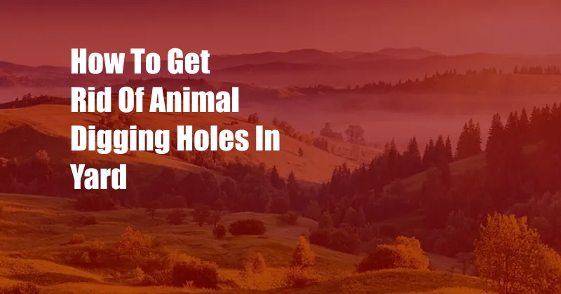 How To Get Rid Of Animal Digging Holes In Yard