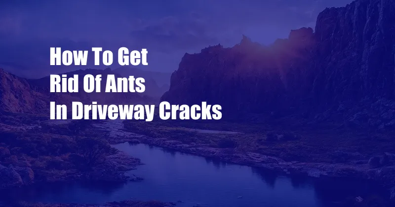 How To Get Rid Of Ants In Driveway Cracks