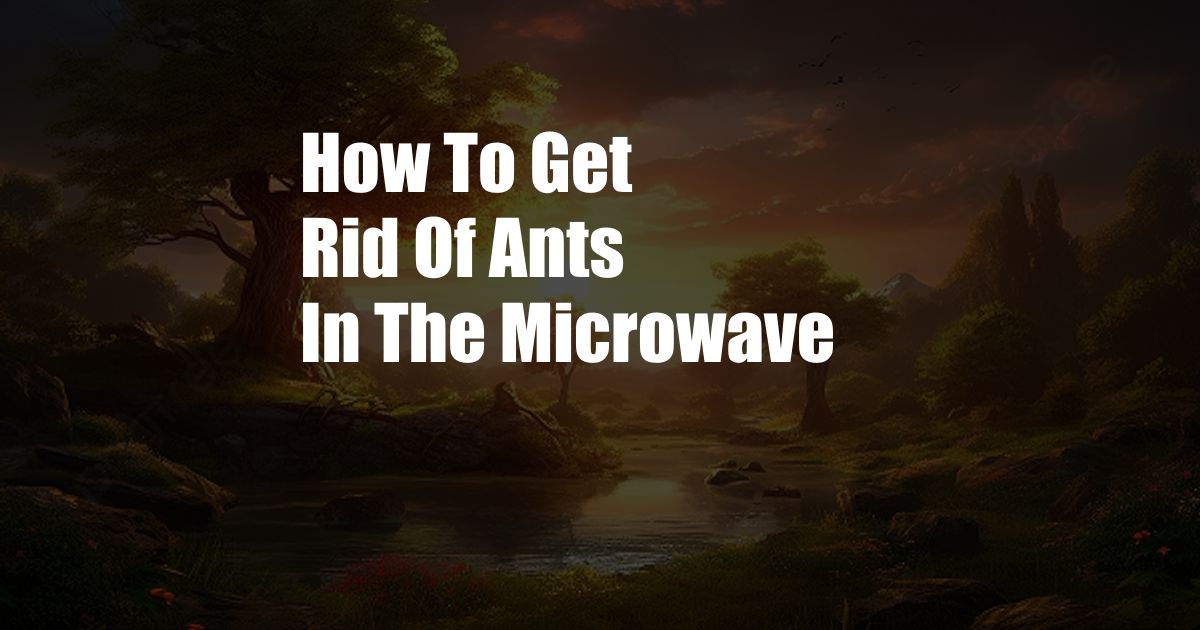 How To Get Rid Of Ants In The Microwave