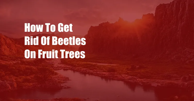 How To Get Rid Of Beetles On Fruit Trees