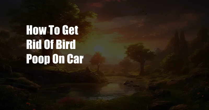 How To Get Rid Of Bird Poop On Car